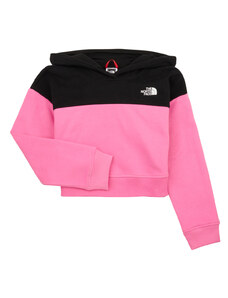 The North Face Jersey Girls Drew Peak Crop P/O Hoodie