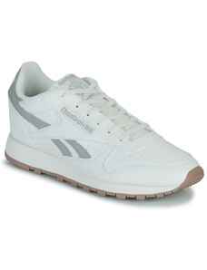 Fila hometown evo shop