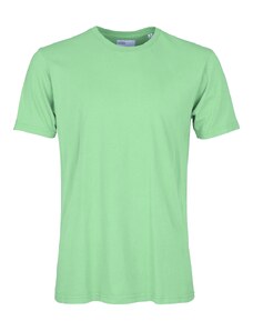 Camiseta Colorful Standard de Algodón Orgánico Menta