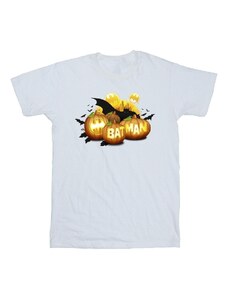 Dc Comics Camiseta manga larga Batman Pumpkins
