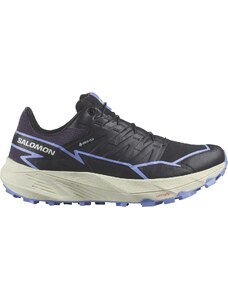 Zapatillas para trail Salomon THUNDERCROSS GTX W l47441100 Talla 40 EU | 6,5 UK | 8 US | 25 CM