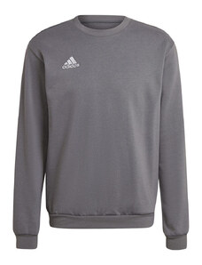 adidas Jersey ENT22 SW TOP