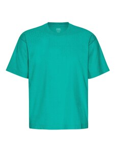 Camiseta Colorful Standard Oversize Tropical Sea
