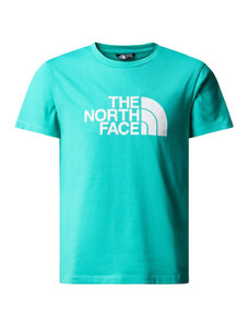 The North Face Tops y Camisetas NF0A87T6PIN1