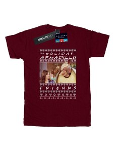 Friends Camiseta manga larga Fair Isle Holiday Armadillo