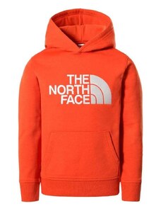 The North Face Camisa manga corta Y DREW PEAK P/O HOODIE