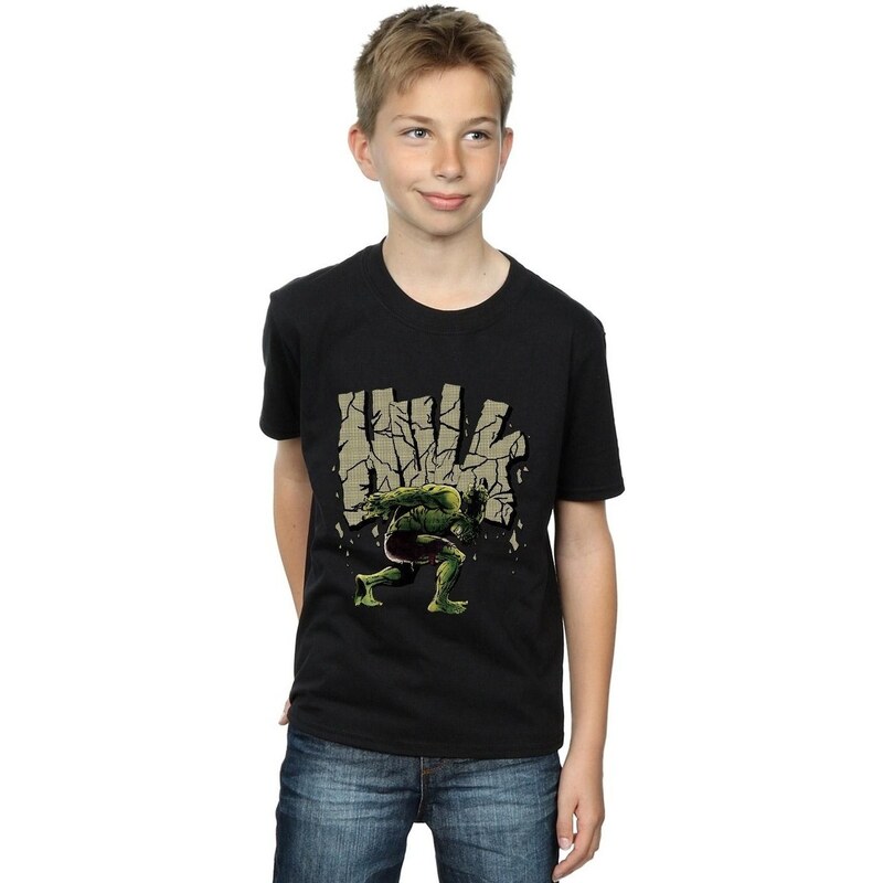 Hulk Camiseta BI1374
