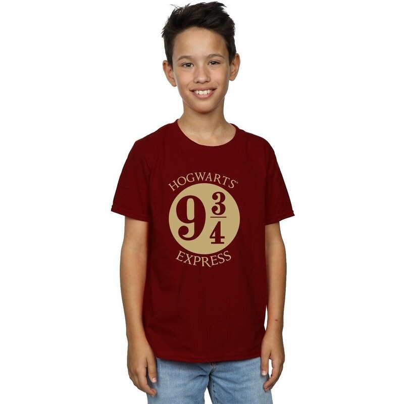 Harry Potter Camiseta Platrform Nine And Three-Quarters