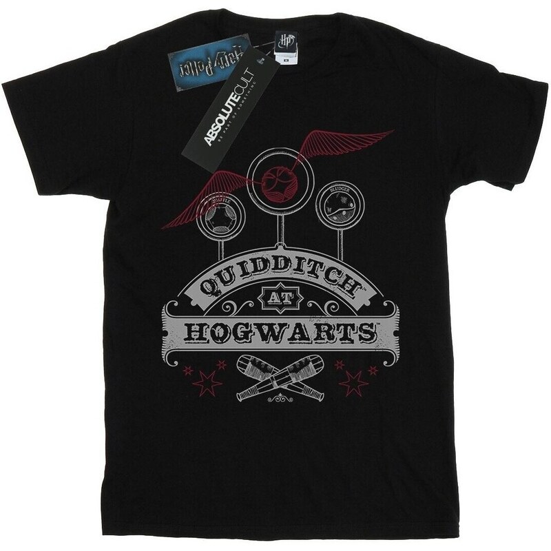 Harry Potter Camiseta manga larga Quidditch At Hogwarts