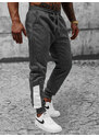 Pantalón de chándal de hombre grafito OZONEE JS/8K173